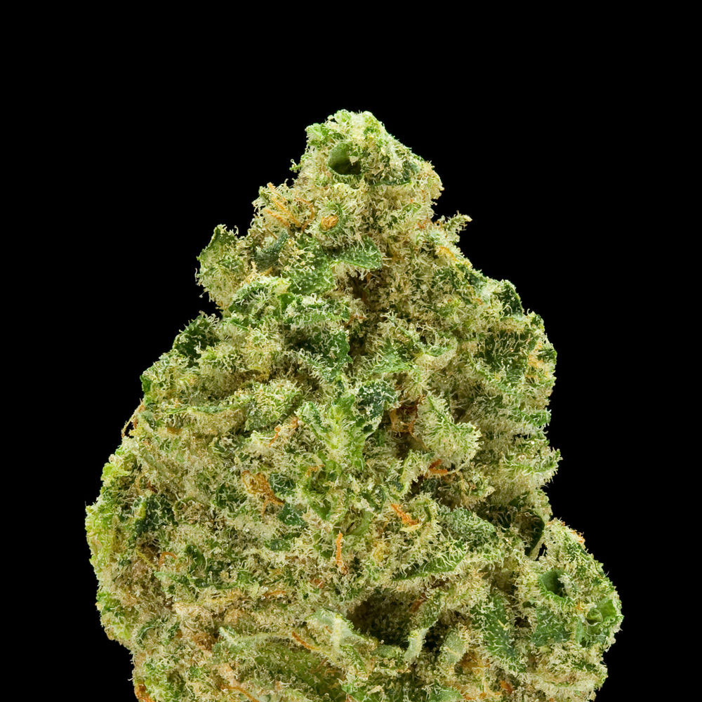 Green--A-Field-Guide-To-Marijuana-02